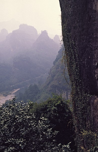 cliffs of wuyi shan.jpg - 30m above the water in the cliffs along the river, there were boat coffins dating back 3000 years.